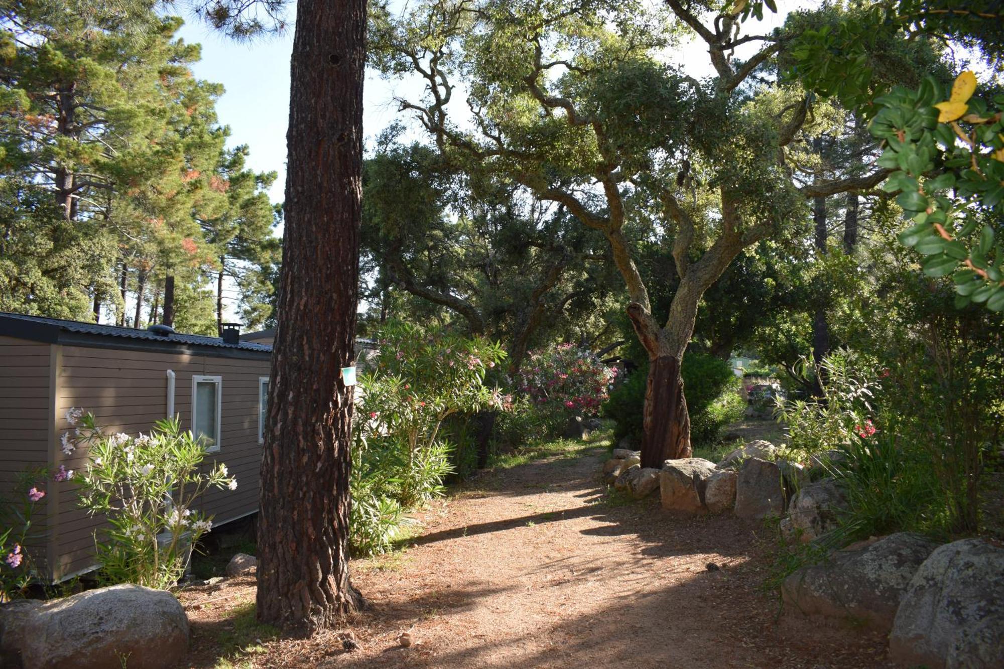 Petralegna Villa Porto-Vecchio  Exterior photo