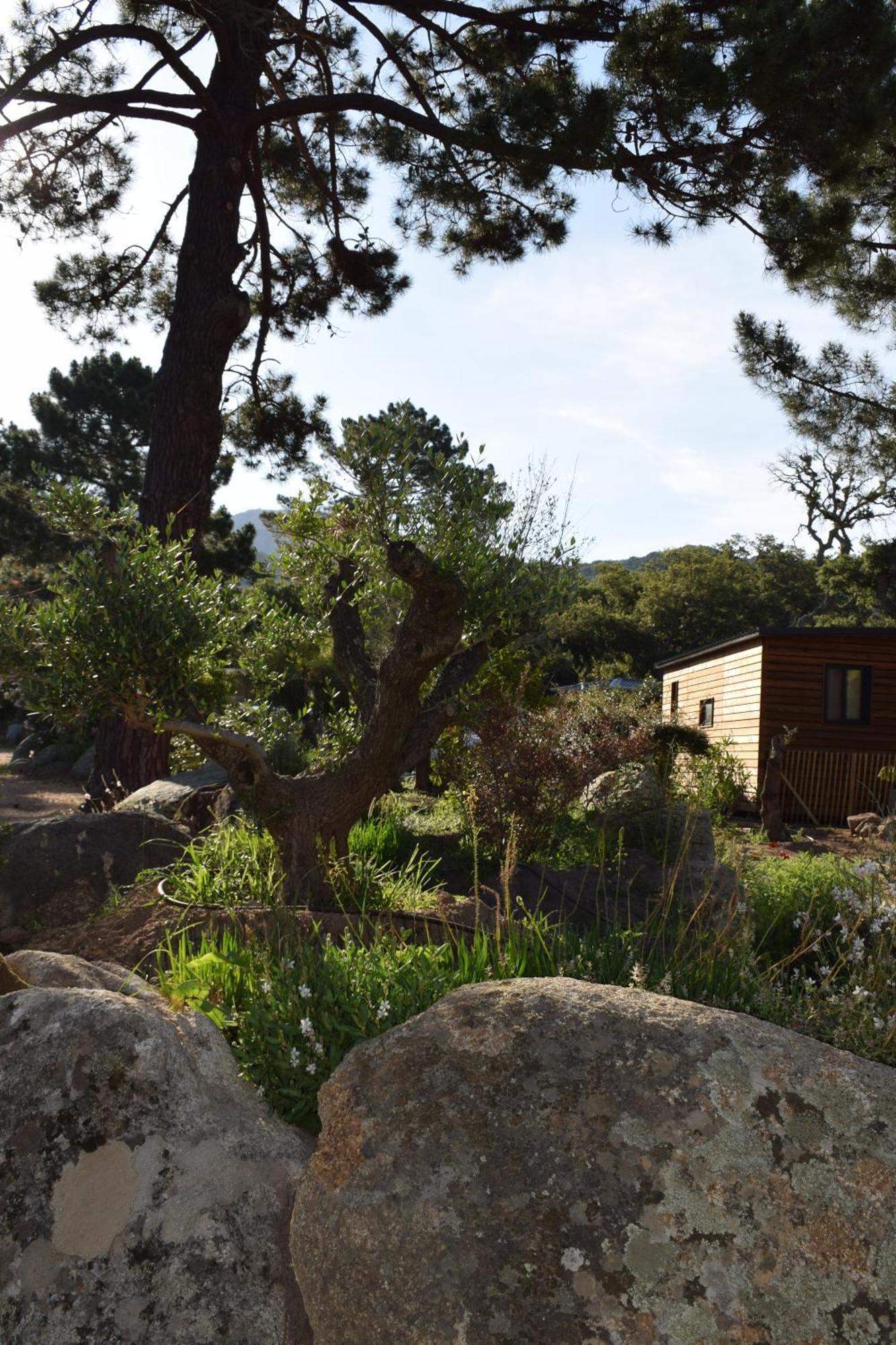 Petralegna Villa Porto-Vecchio  Exterior photo